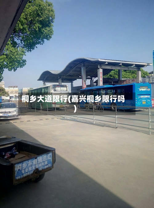 桐乡大道限行(嘉兴桐乡限行吗)