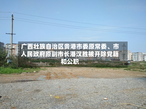 广西壮族自治区贵港市委原常委	、市人民政府原副市长潘汉胜被开除党籍和公职-第3张图片