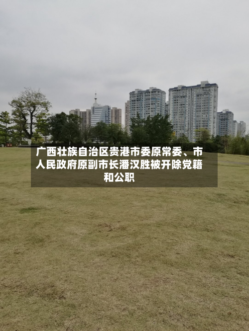 广西壮族自治区贵港市委原常委、市人民政府原副市长潘汉胜被开除党籍和公职-第2张图片
