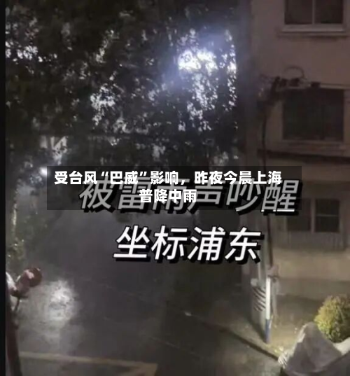 受台风“巴威”影响，昨夜今晨上海普降中雨-第3张图片