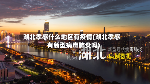 湖北孝感什么地区有疫情(湖北孝感有新型病毒肺炎吗)