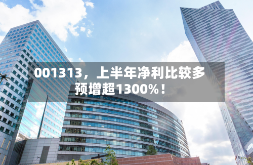 001313，上半年净利比较多预增超1300%！-第3张图片