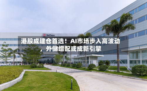 港股成建仓首选！AI市场步入高波动，外储增配或成新引擎