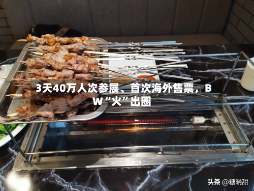 3天40万人次参展、首次海外售票，BW“火”出圈-第2张图片