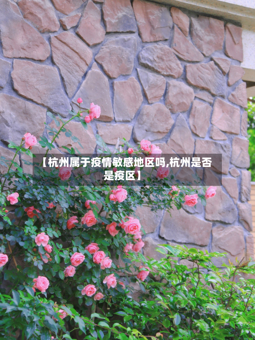 【杭州属于疫情敏感地区吗,杭州是否是疫区】-第1张图片