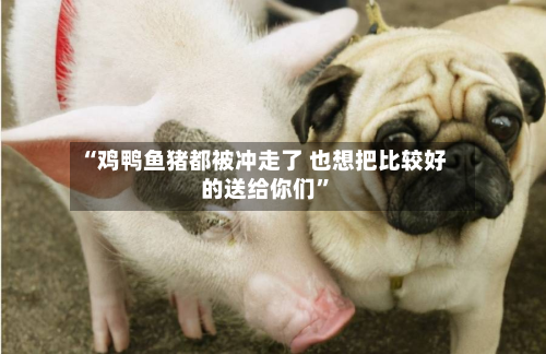 “鸡鸭鱼猪都被冲走了 也想把比较好的送给你们	”-第3张图片