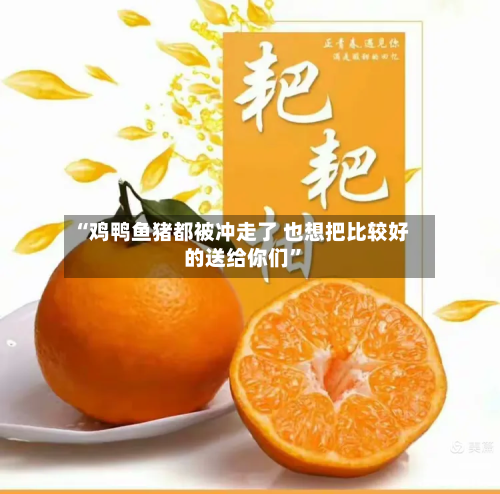 “鸡鸭鱼猪都被冲走了 也想把比较好的送给你们”-第2张图片