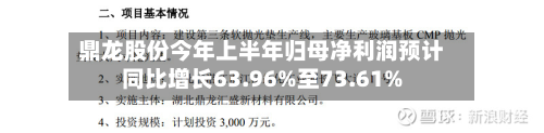 鼎龙股份今年上半年归母净利润预计同比增长63.96%至73.61%-第1张图片