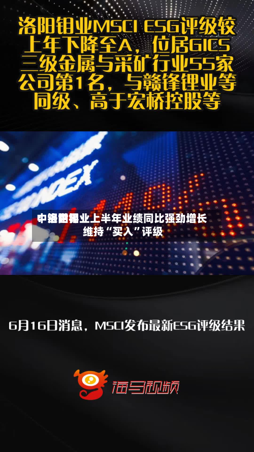 中银世界：洛阳钼业上半年业绩同比强劲增长 维持“买入”评级-第3张图片