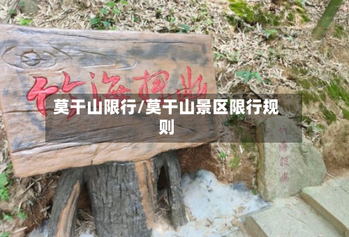 莫干山限行/莫干山景区限行规则-第2张图片