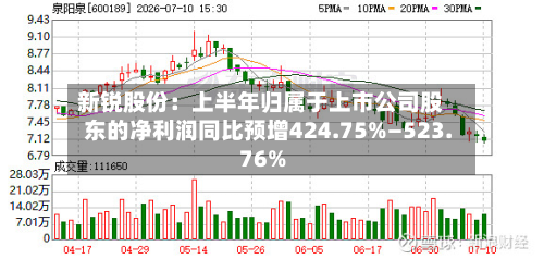 新锐股份:上半年归属于上市公司股东的净利润同比预增424.75%—523.76%-第2张图片