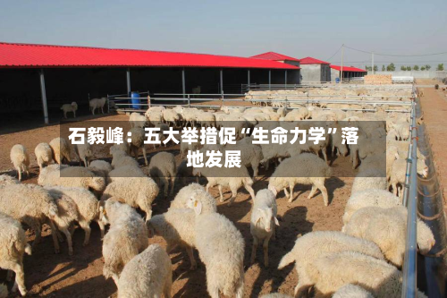 石毅峰：五大举措促“生命力学	”落地发展-第2张图片