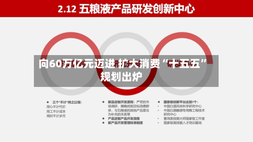 向60万亿元迈进 扩大消费“十五五”规划出炉-第3张图片
