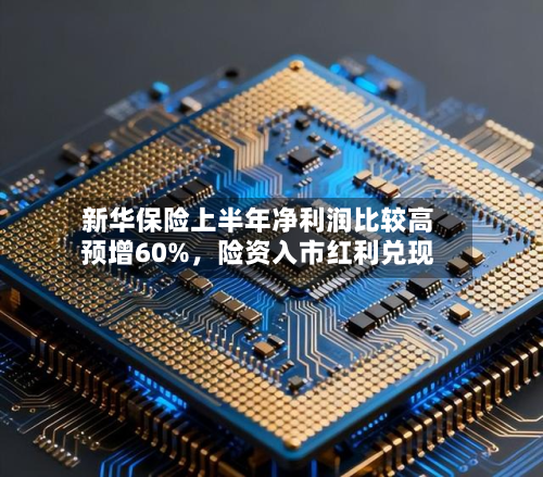 新华保险上半年净利润比较高预增60%	，险资入市红利兑现-第3张图片