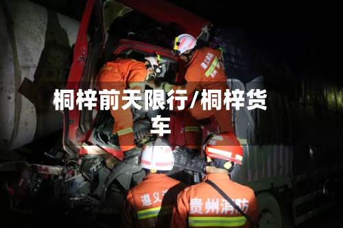 桐梓前天限行/桐梓货车