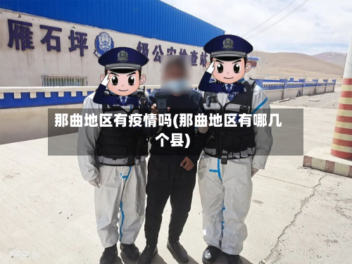 那曲地区有疫情吗(那曲地区有哪几个县)-第2张图片