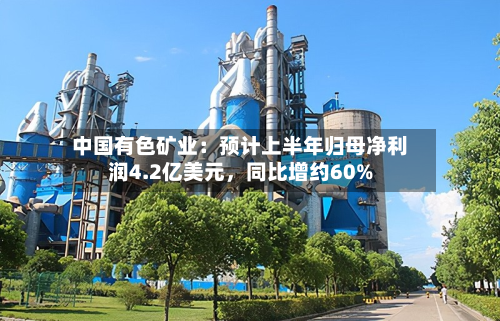 中国有色矿业：预计上半年归母净利润4.2亿美元	，同比增约60%-第2张图片
