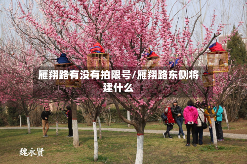 雁翔路有没有拍限号/雁翔路东侧将建什么-第3张图片