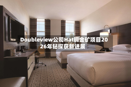 Doubleview公司Hat铜金矿项目2026年钻探获新进展-第1张图片