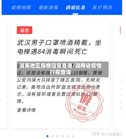 湖南地区疫情信息查询/湖南省疫情行程查询-第2张图片