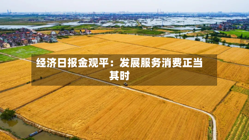 经济日报金观平：发展服务消费正当其时-第2张图片