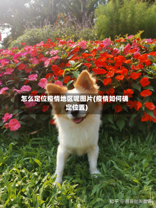 怎么定位疫情地区呢图片(疫情如何确定位置)-第1张图片