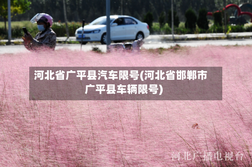 河北省广平县汽车限号(河北省邯郸市广平县车辆限号)-第1张图片