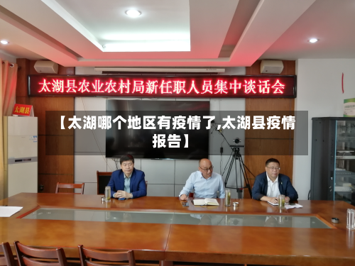 【太湖哪个地区有疫情了,太湖县疫情报告】-第2张图片