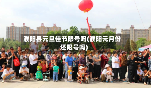 濮阳县元旦佳节限号吗(濮阳元月份还限号吗)-第1张图片