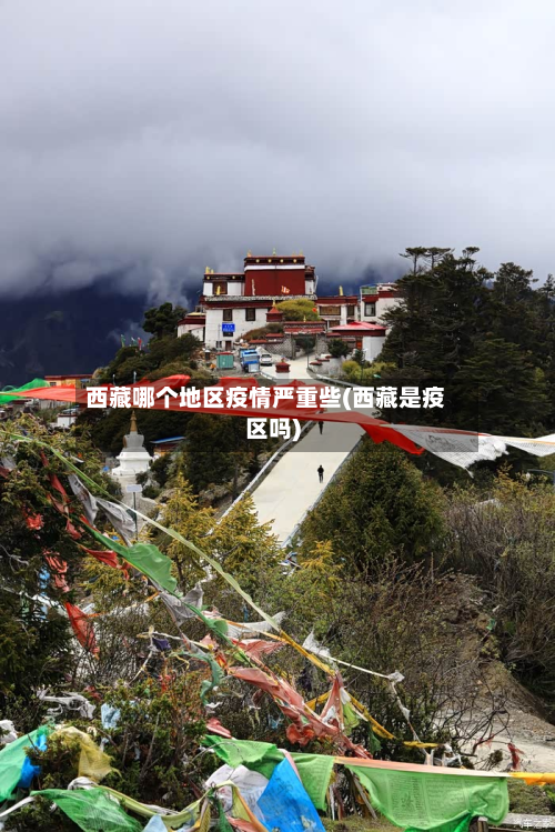 西藏哪个地区疫情严重些(西藏是疫区吗)-第1张图片