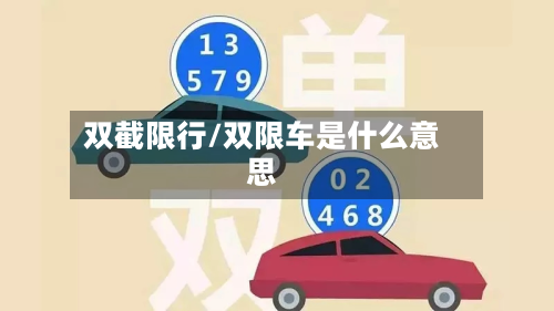 双截限行/双限车是什么意思-第3张图片