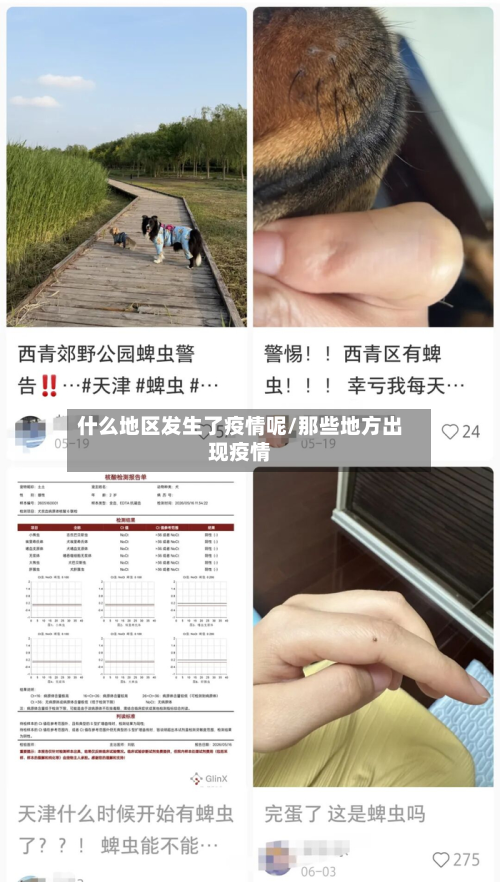 什么地区发生了疫情呢/那些地方出现疫情