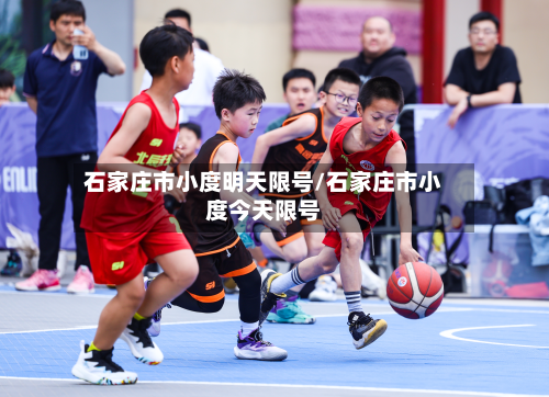 石家庄市小度明天限号/石家庄市小度今天限号