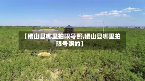 【稷山县哪里拍限号照,稷山县哪里拍限号照的】-第2张图片