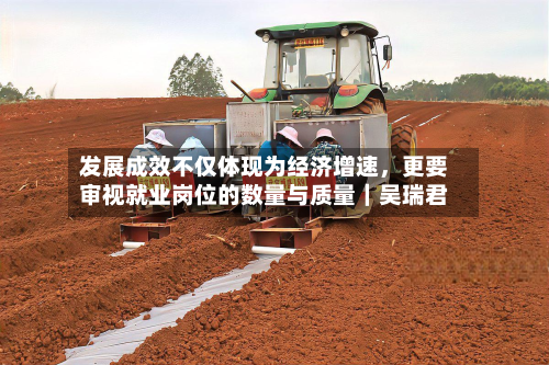 发展成效不仅体现为经济增速，更要审视就业岗位的数量与质量｜吴瑞君