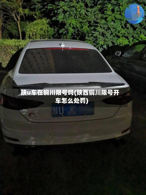 陕u车在铜川限号吗(陕西铜川限号开车怎么处罚)