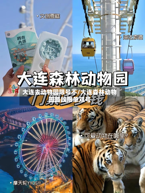 大连去动物园限号不/大连森林动物园路段限单双号