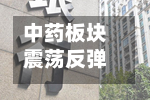 中药板块震荡反弹 片仔癀逼近涨停