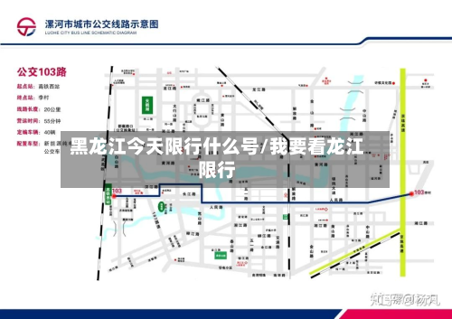 黑龙江今天限行什么号/我要看龙江限行