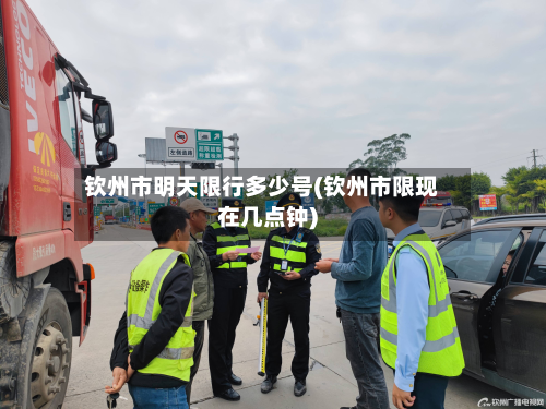 钦州市明天限行多少号(钦州市限现在几点钟)-第3张图片