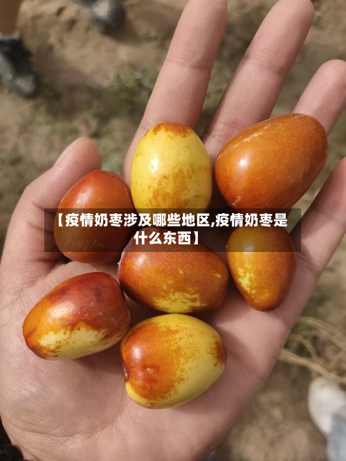 【疫情奶枣涉及哪些地区,疫情奶枣是什么东西】