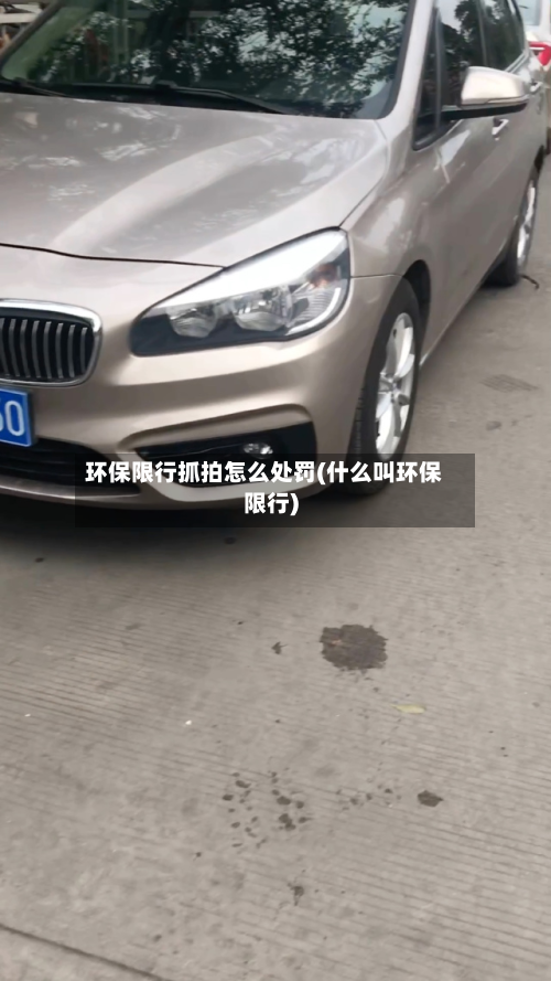 环保限行抓拍怎么处罚(什么叫环保限行)-第1张图片