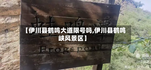 【伊川县鹤鸣大道限号吗,伊川县鹤鸣峡风景区】-第2张图片
