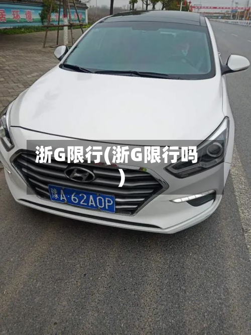 浙G限行(浙G限行吗)