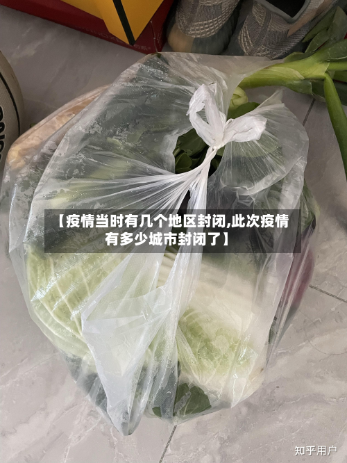 【疫情当时有几个地区封闭,此次疫情有多少城市封闭了】