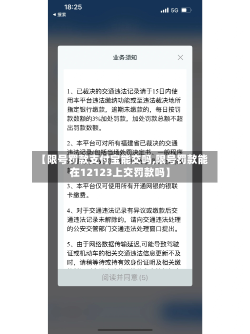 【限号罚款支付宝能交吗,限号罚款能在12123上交罚款吗】-第1张图片