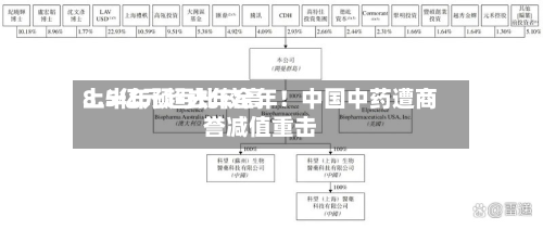 上半年预亏比较高
8.5亿元超去年全年!中国中药遭商誉减值重击-第2张图片