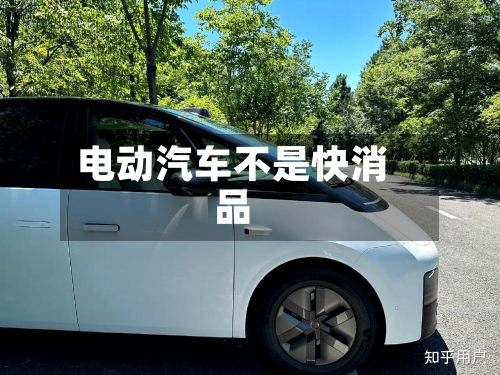 电动汽车不是快消品