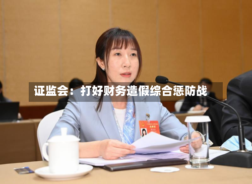 证监会：打好财务造假综合惩防战-第3张图片