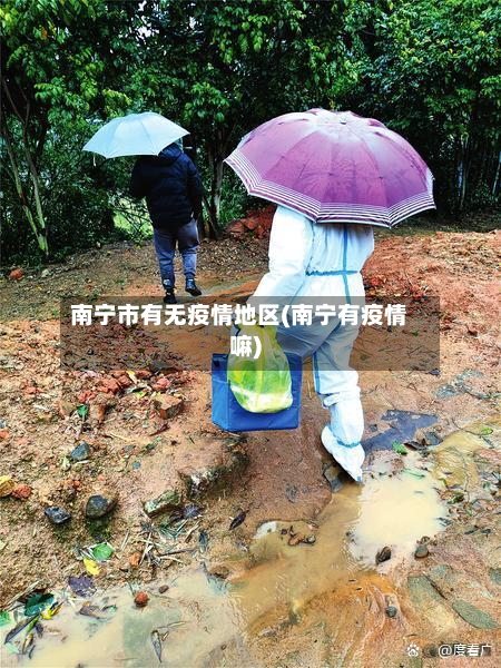 南宁市有无疫情地区(南宁有疫情嘛)